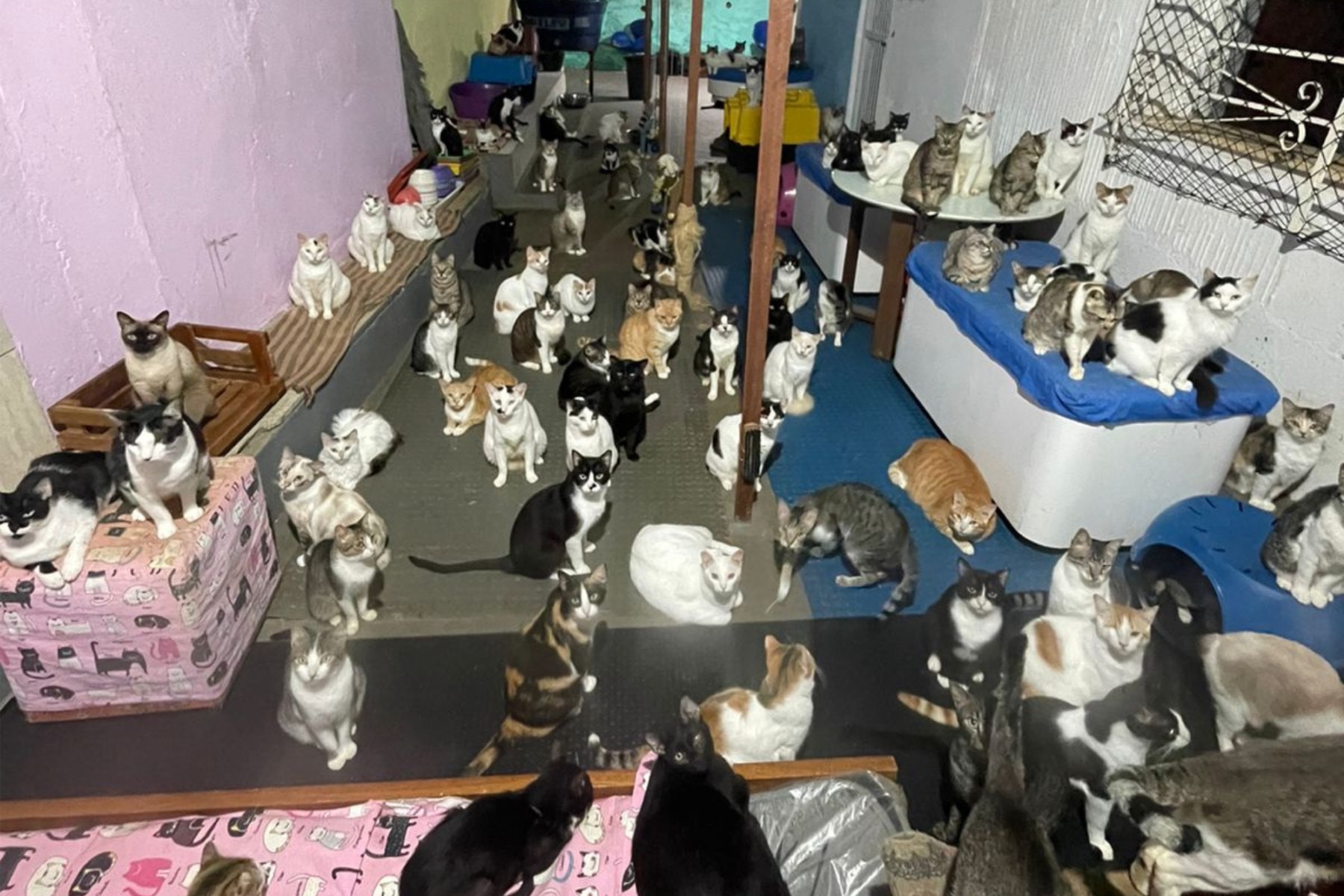Imagem 3 do projeto